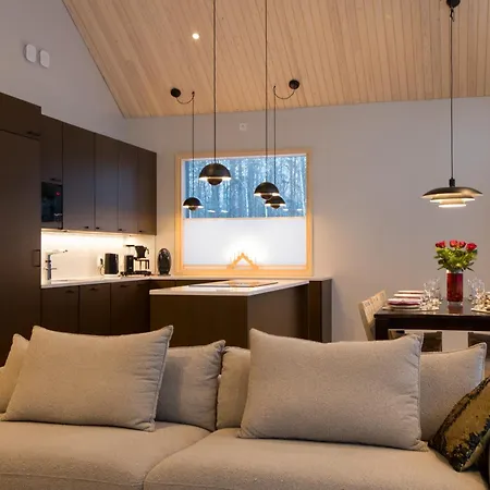 Nordic Luxury In Ounasvaara With Sauna Vila Rovaniemi