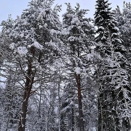 Vila Nordic Luxury In Ounasvaara With Sauna Rovaniemi