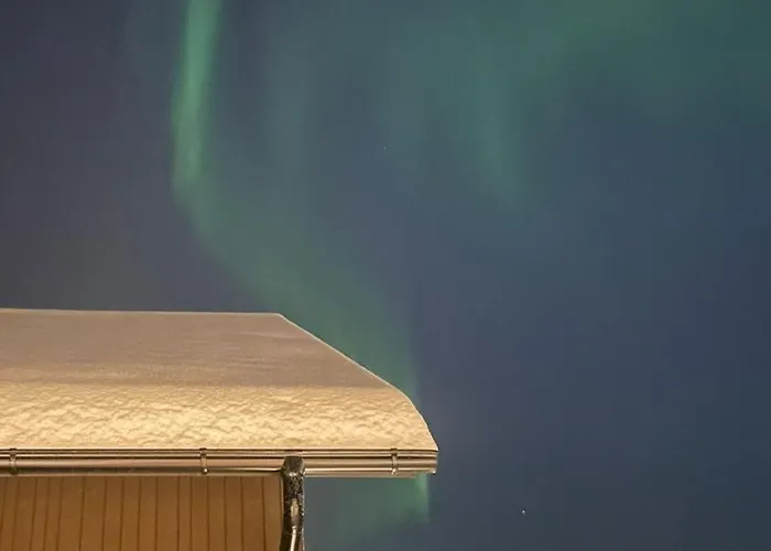 Nordic Luxury In Ounasvaara With Sauna Vila Rovaniemi