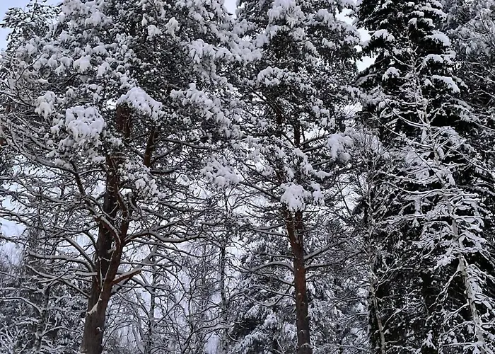 Vila Nordic Luxury In Ounasvaara With Sauna Rovaniemi